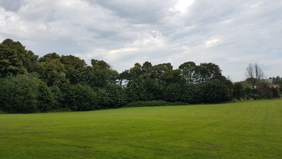 look back - west - towards the forest from slightly inside the lands