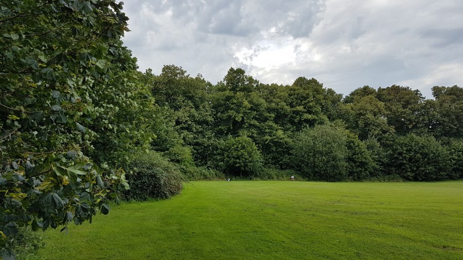 look back - west - towards the forest from slightly inside the lands