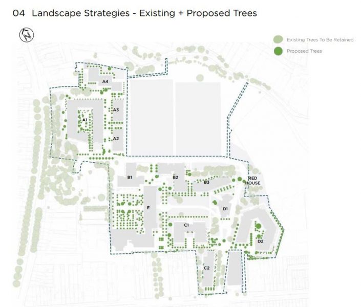 Tree to be retained and new trees